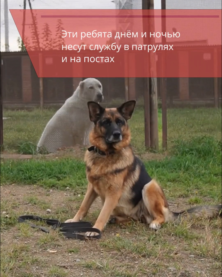 Уральский завод гражданской авиации