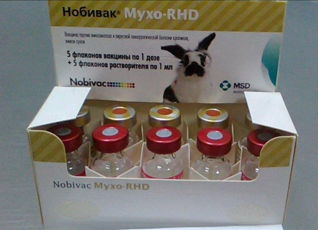 Зачем нужна вакцинация?